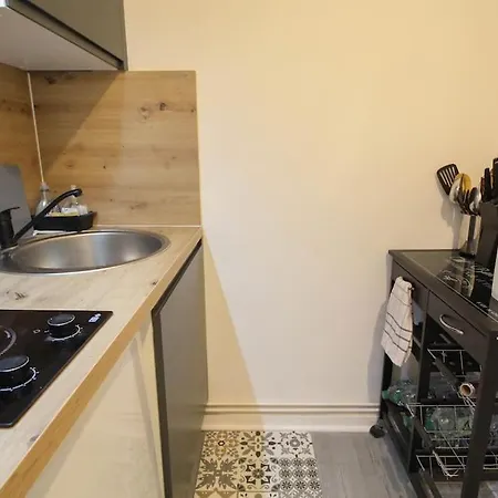 Apartment Le Republique Grand Wi-fi / Netflix *
